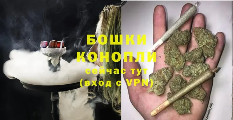 Канабис White Widow  МЕГА онион  Стерлитамак  где купить  